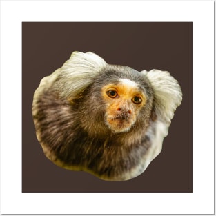 Marmoset Posters and Art